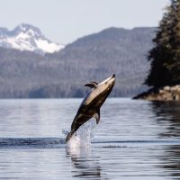 Cruises, Sailing & Water Tours