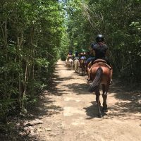 Outdoor Activities