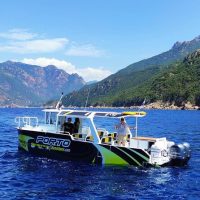 Cruises, Sailing & Water Tours