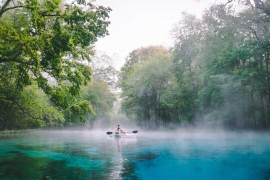 Labor Day in Gainesville