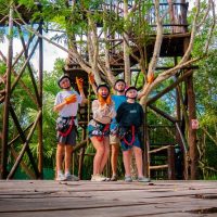 Ziplines