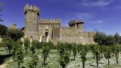 Very enjoyable wine tour