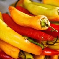 Street Food Tours