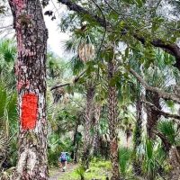 Hiking & Camping