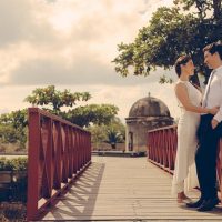 Private & Custom Tours