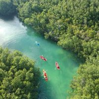 Kayaking & Canoeing