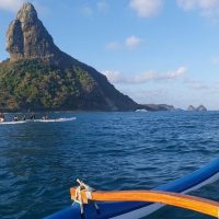 Shore Excursions