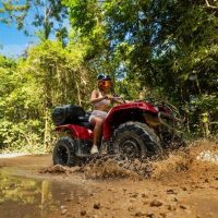 Shore Excursions