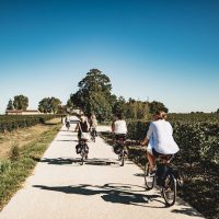 Day Trips & Excursions