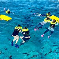 Sailing Trips