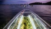 Great experience kayaking at night