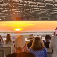 Cruises, Sailing & Water Tours