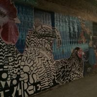 Private Sightseeing Tours