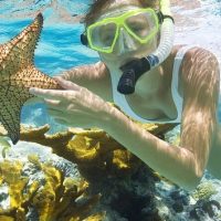 Cruises, Sailing & Water Tours