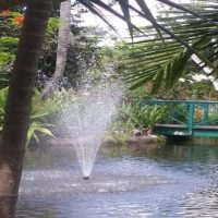 Cultural & Theme Tours