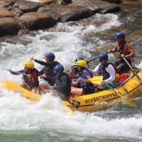 Cruises, Sailing & Water Tours