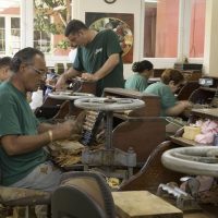 Cooking Classes