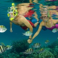 Day Trips & Excursions