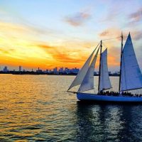 Sailing Trips