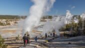 Elijah is singularly equipped to give you the best tour of Yellowstone