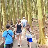 Private & Custom Tours