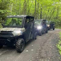 Safaris