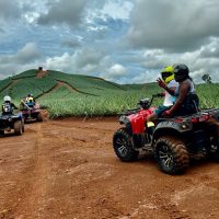 Private Sightseeing Tours