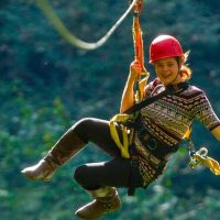 Ziplines