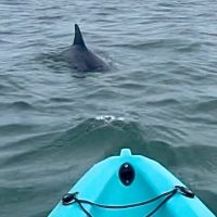 Kayaking & Canoeing
