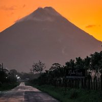 Tours & Sightseeing