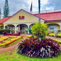 Ports of Call Tours