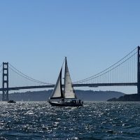 Boat Tours