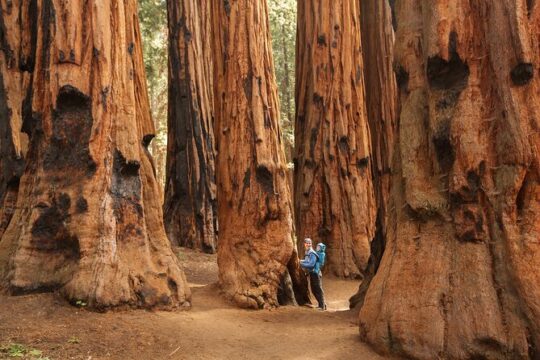 Halloween in Sequoia and Kings Canyon National Park