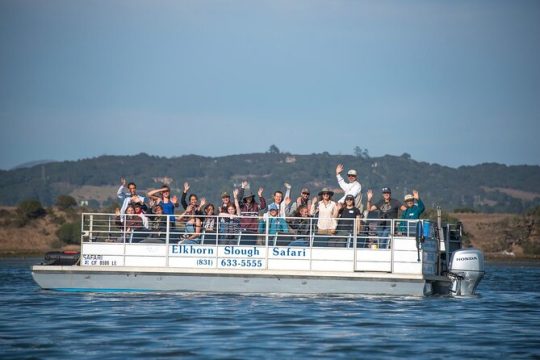 Hanukkah in Monterey & Carmel
