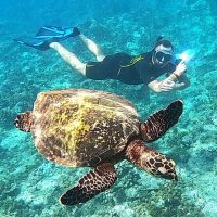 Photography Tours