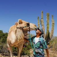 Cultural & Theme Tours