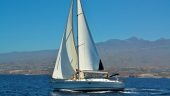 Magical Experience Whale Watching