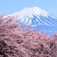 Historical & Heritage Tours