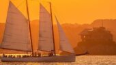 Pleasant Cruise around the Harbor