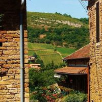 Wine Tasting & Winery Tours
