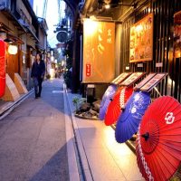 Kid Friendly Tours & Activities