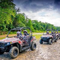 Walking & Biking Tours