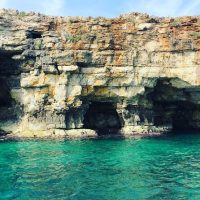 Cruises, Sailing & Water Tours