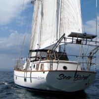 Cruises, Sailing & Water Tours