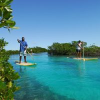 Eco Tours
