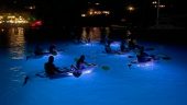 Great late evening activity for families and friends