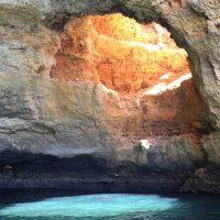 Shore Excursions
