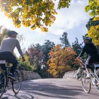 Bike & Mountain Bike Tours