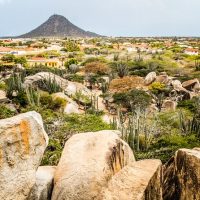 Bus & Minivan Tours