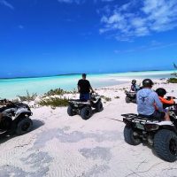 Tours & Sightseeing